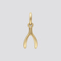 Wishbone Earring Charm