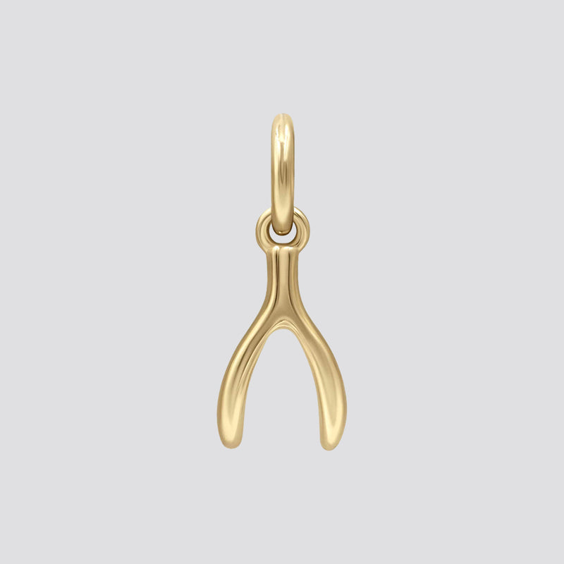 Wishbone Earring Charm image 0
