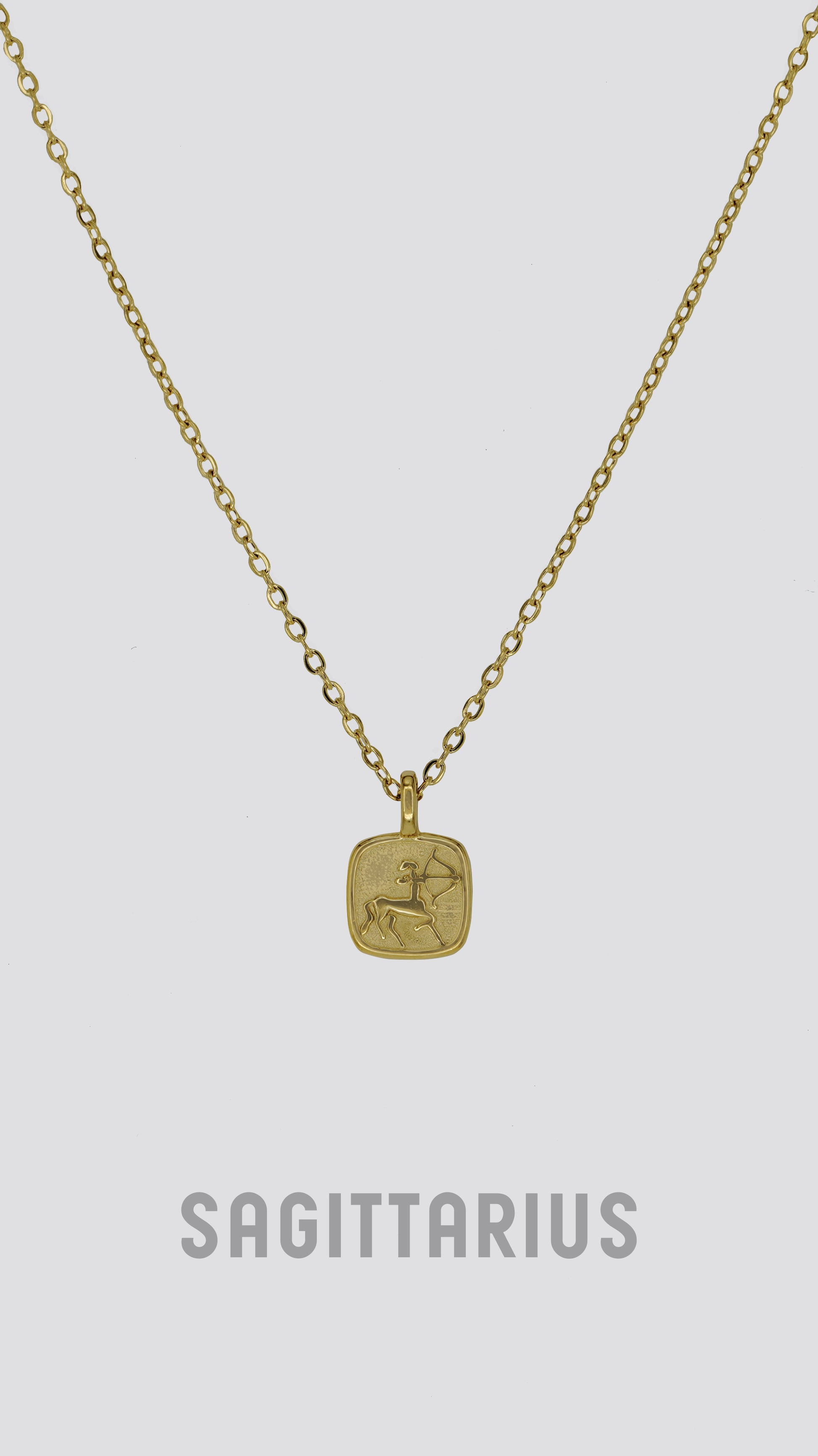 Zodiac Sign Necklace image 1