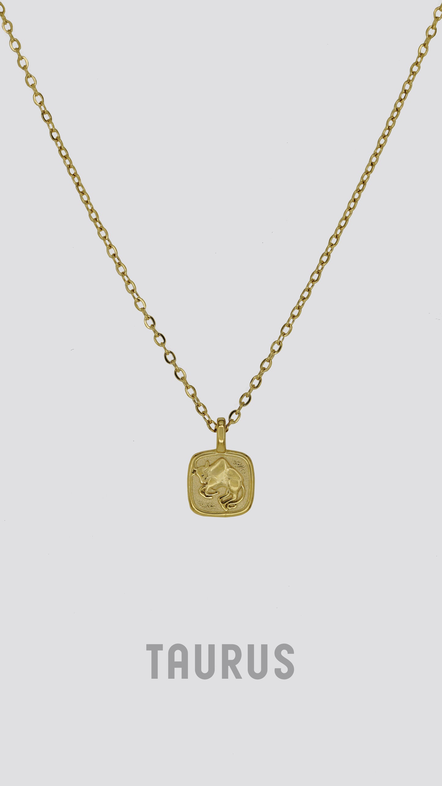 Zodiac Sign Necklace image 9