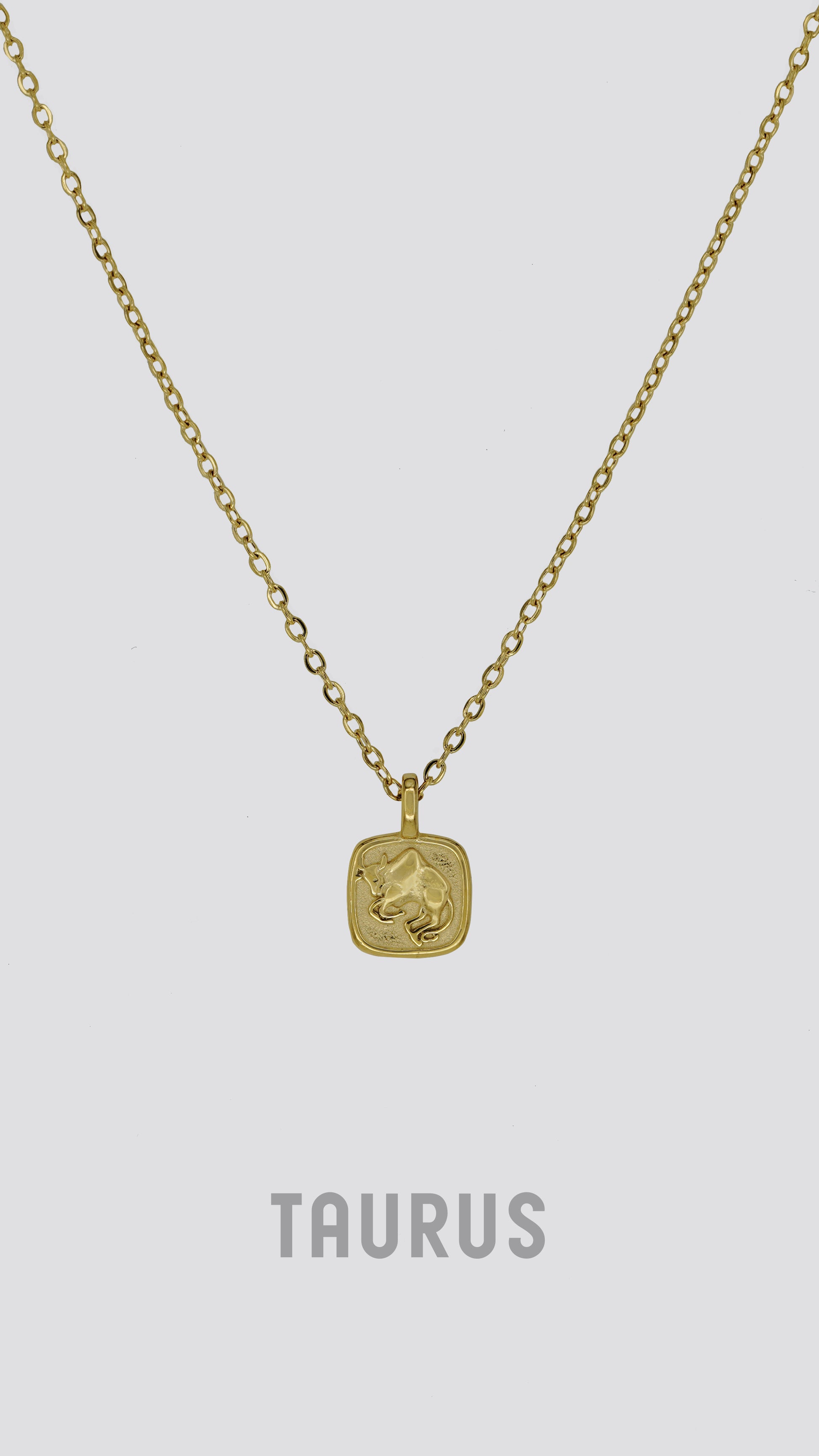 Zodiac Sign Necklace image 9