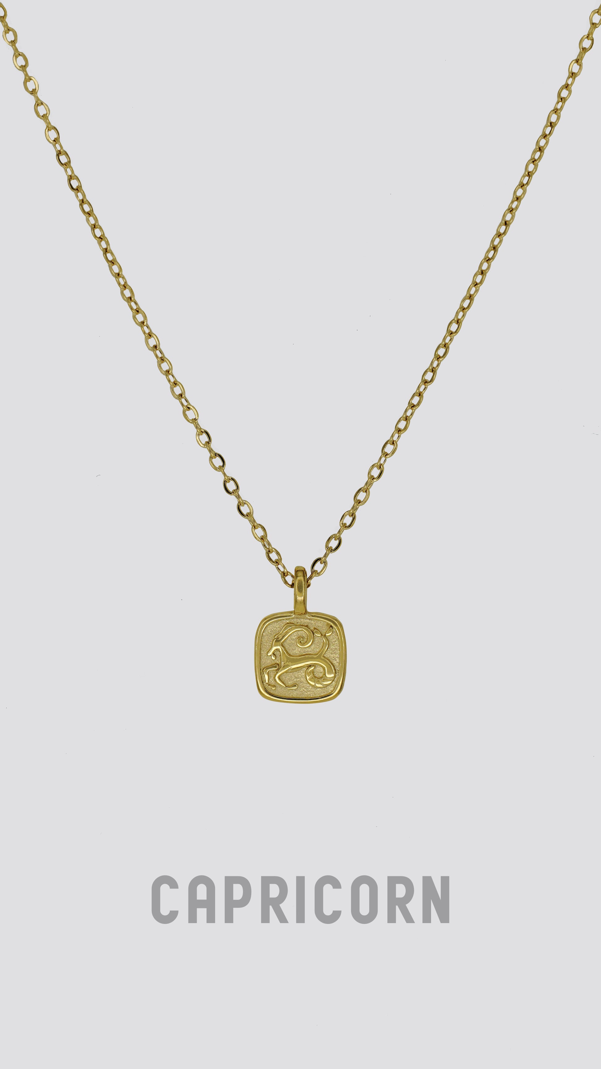 Zodiac Sign Necklace image 4