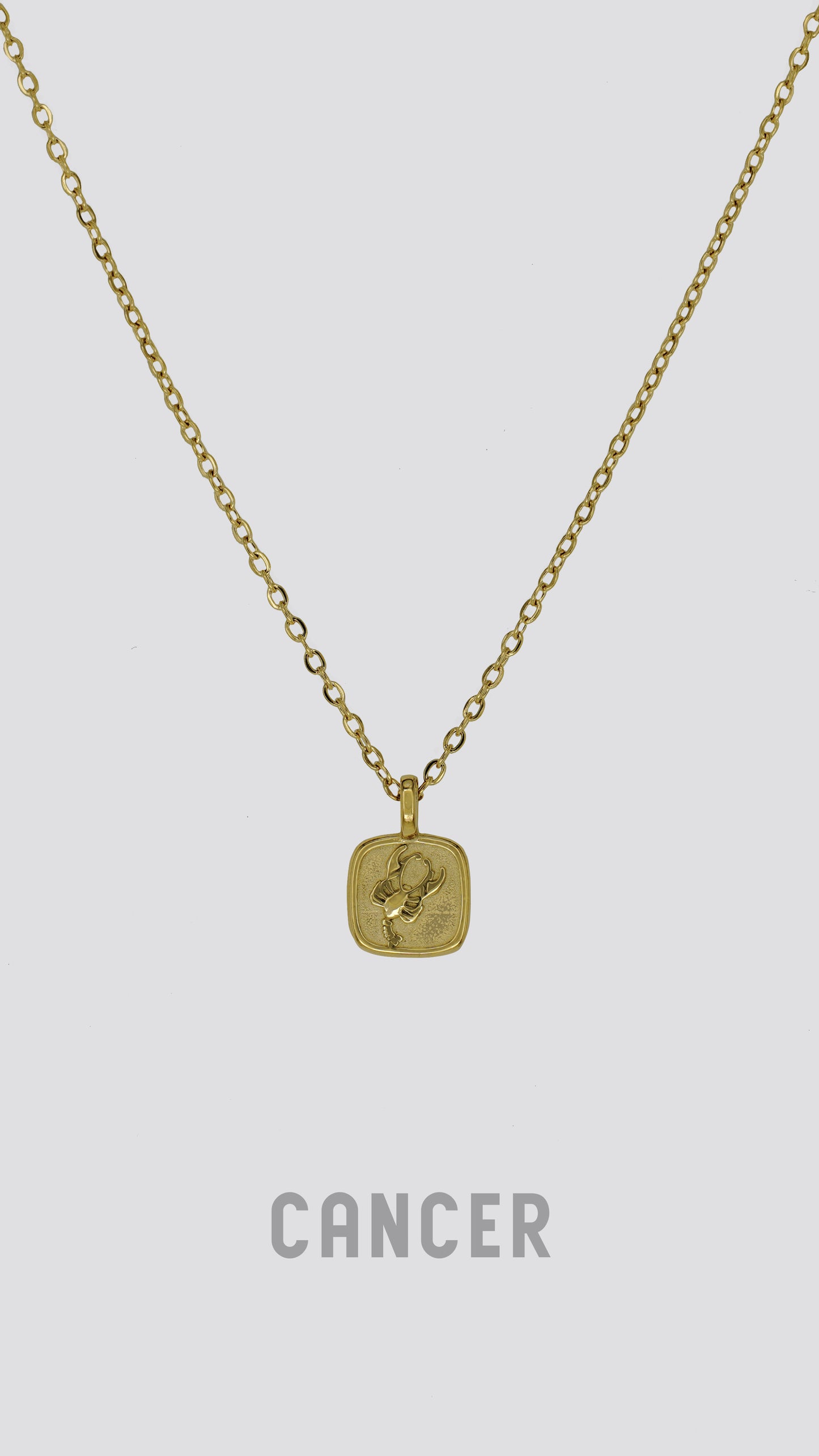 Zodiac Sign Necklace image 10