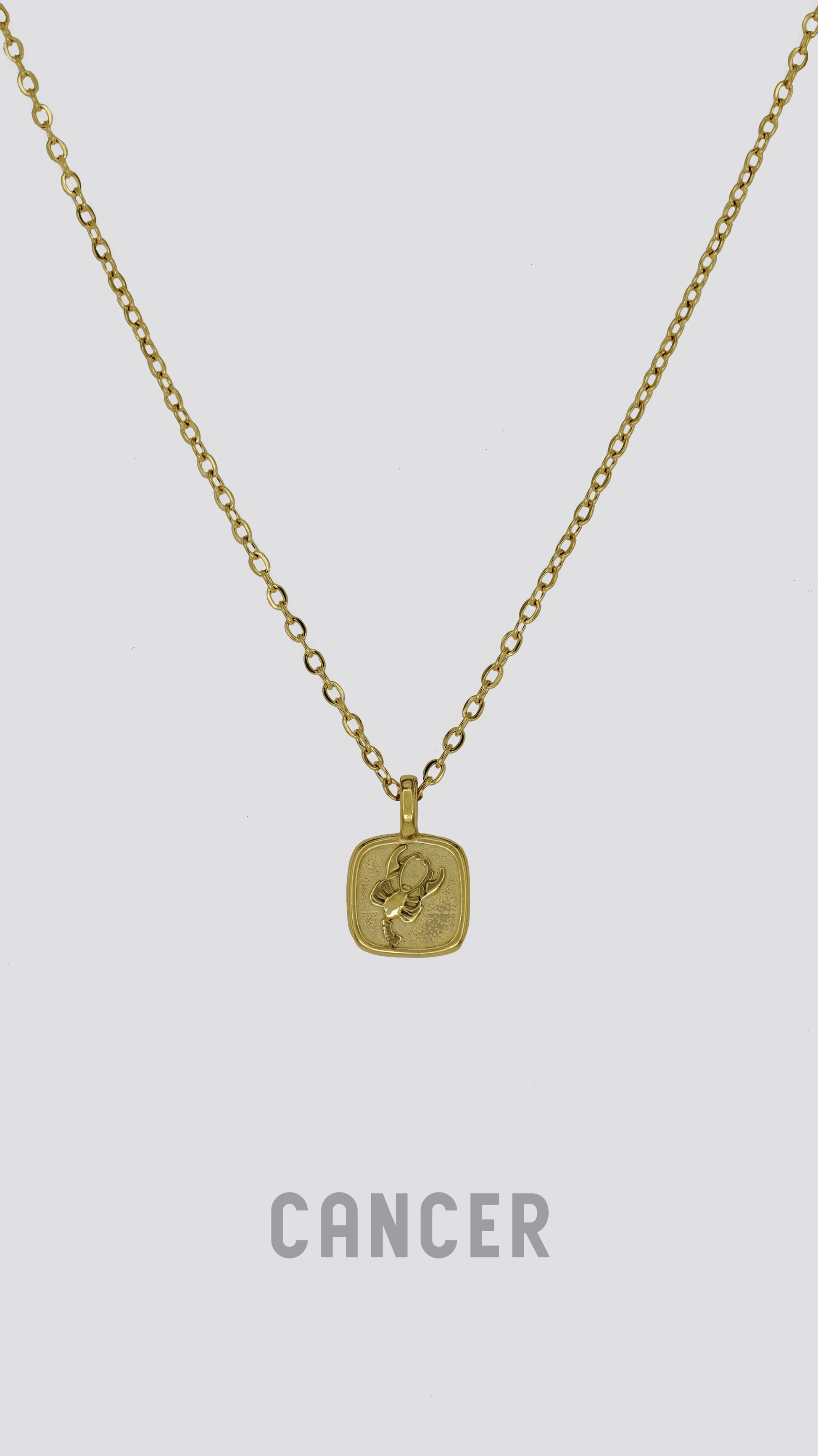 Zodiac Sign Necklace image 10