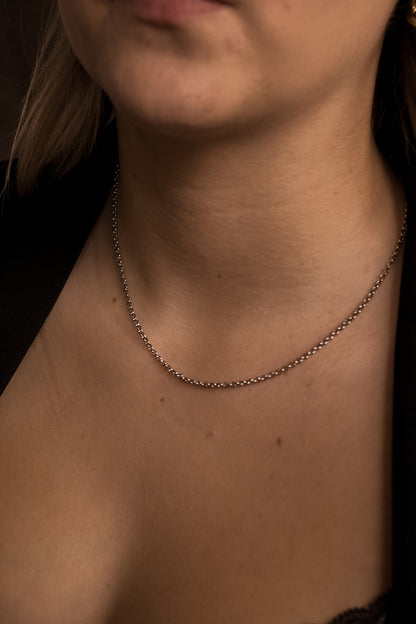 Sidewalk Cable Chain Necklace image 1