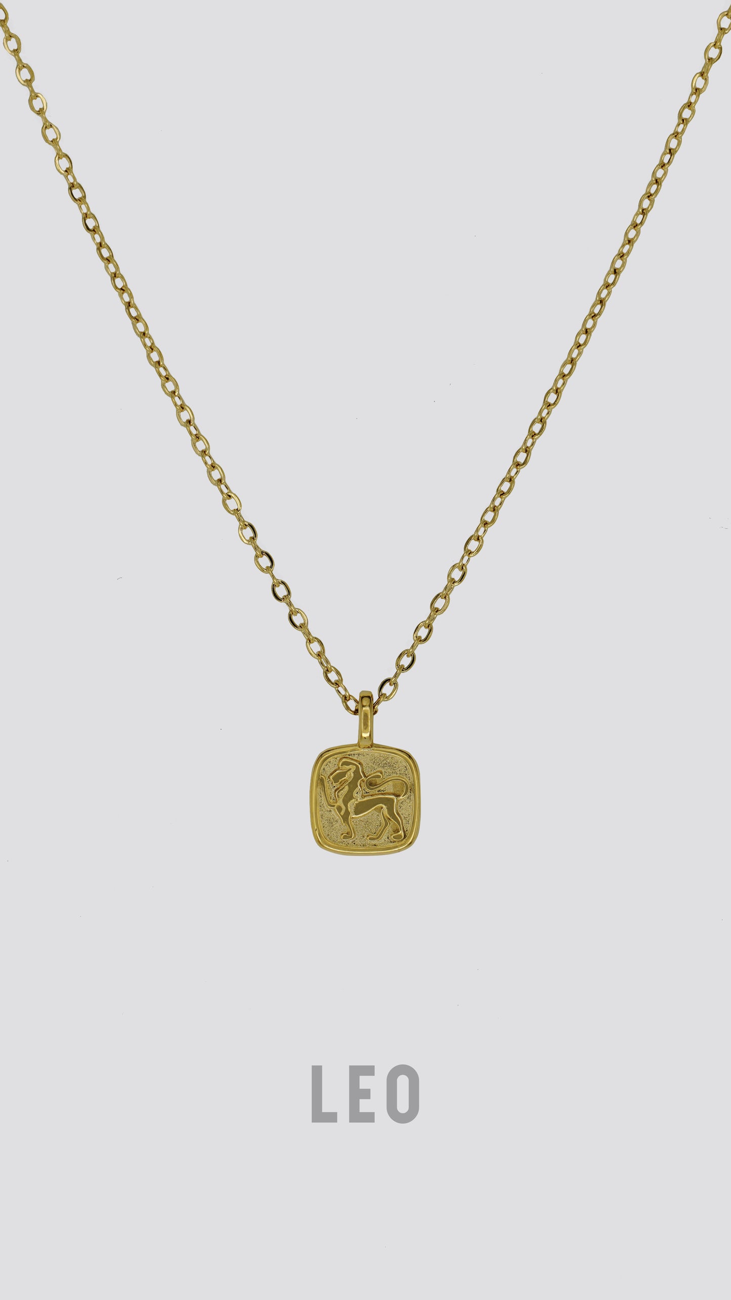 Zodiac Sign Necklace image 11