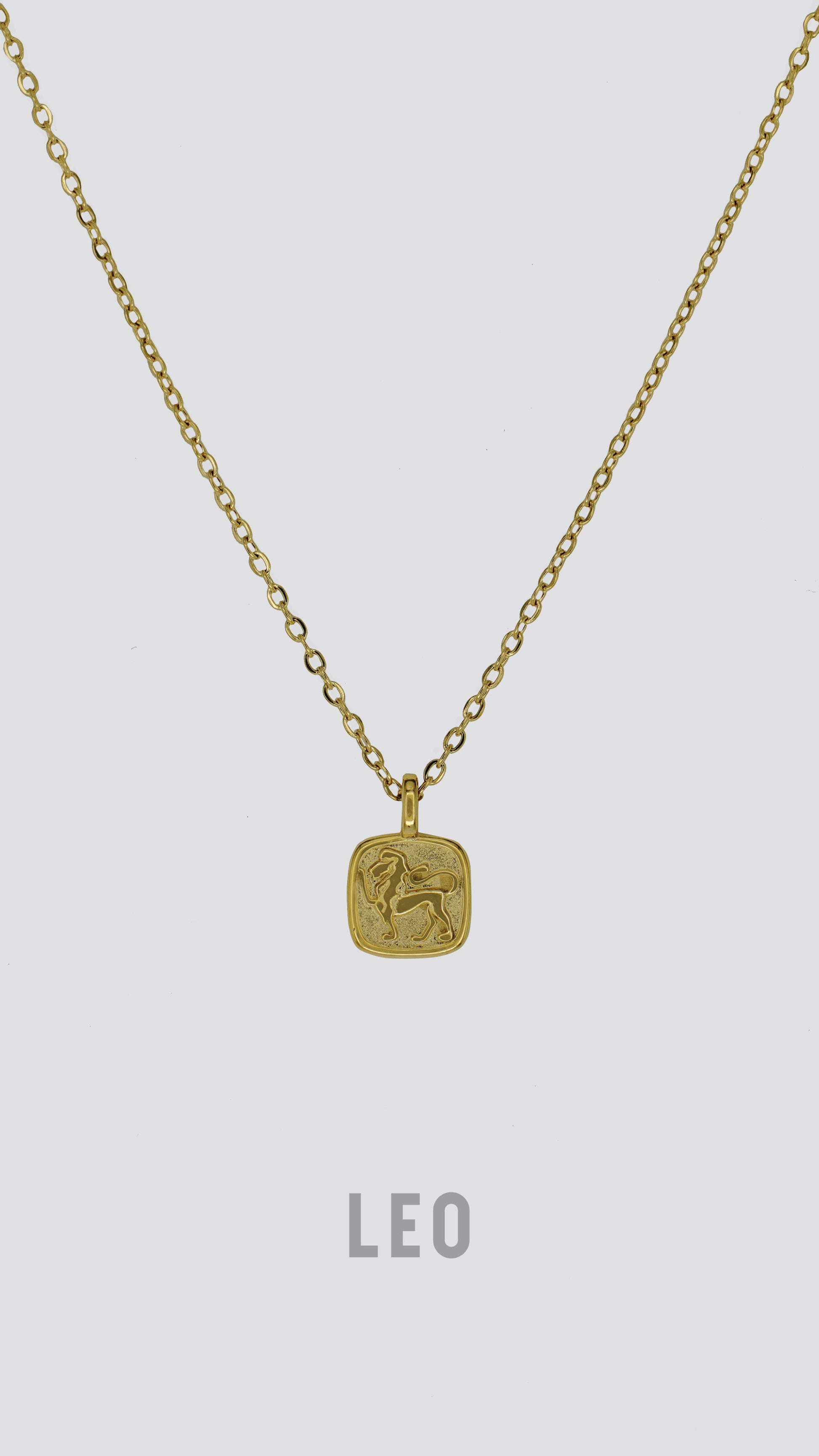 Zodiac Sign Necklace image 11