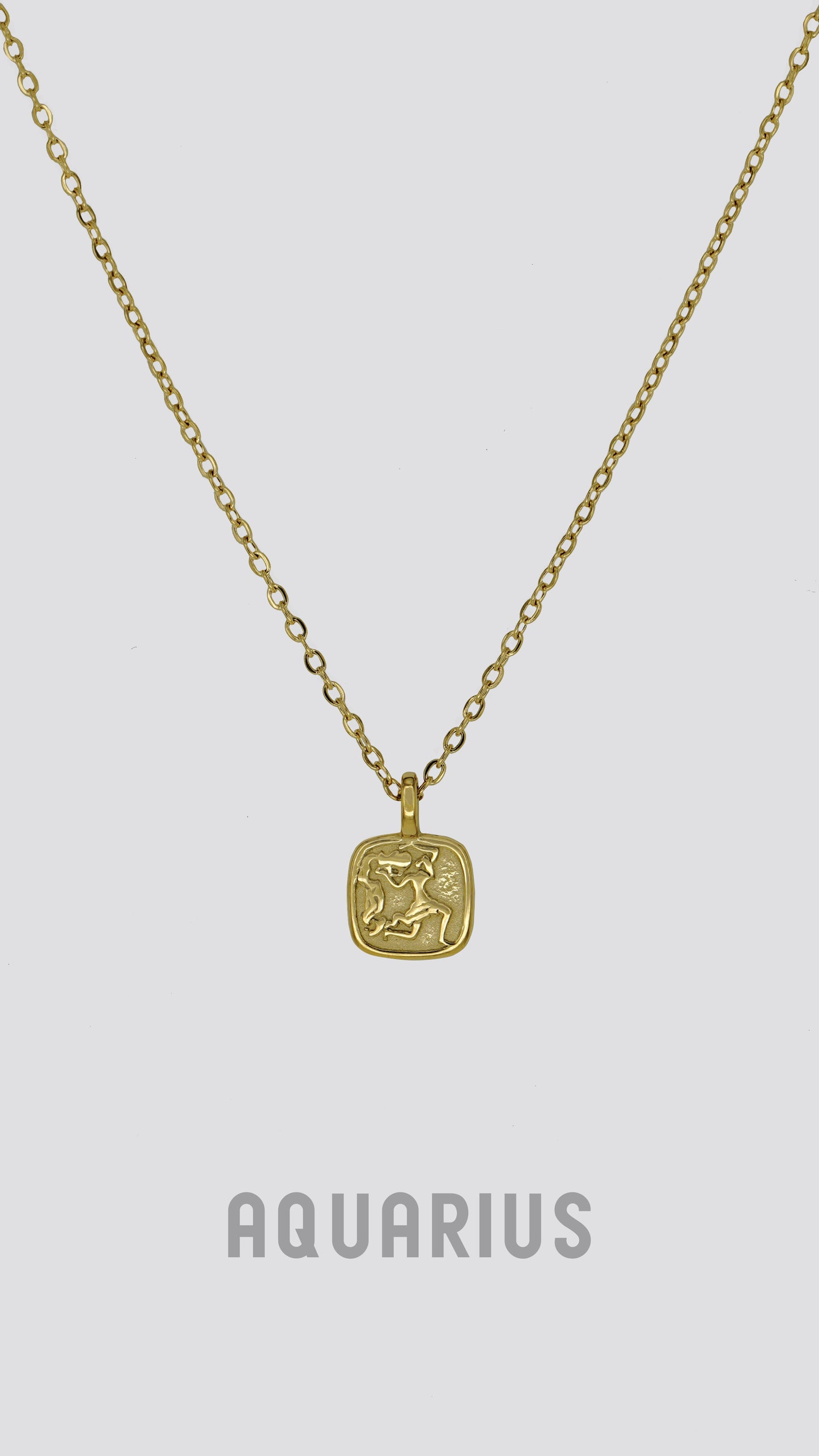 Zodiac Sign Necklace image 5