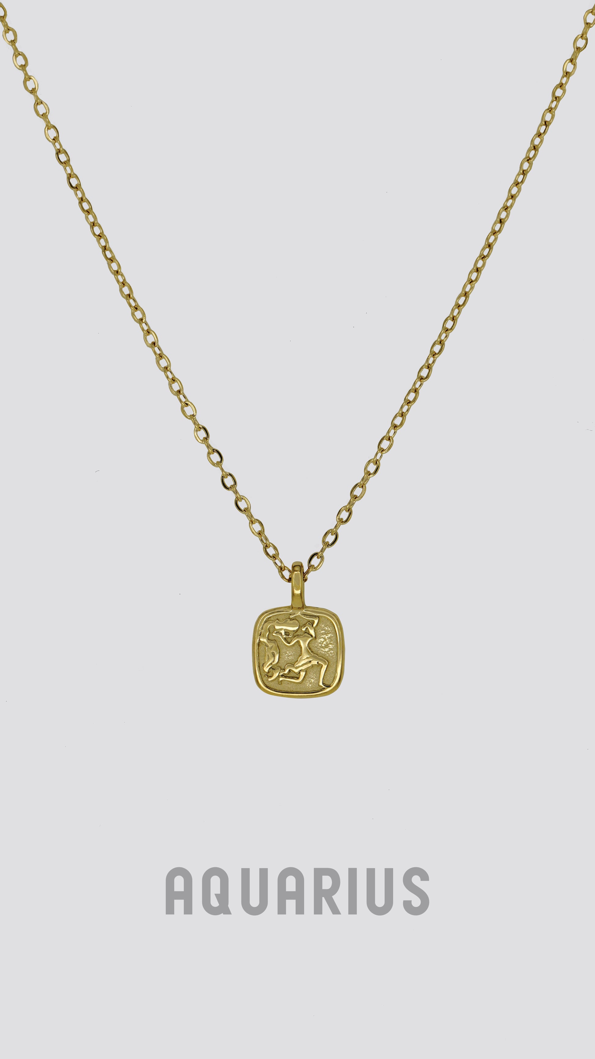 Zodiac Sign Necklace image 5