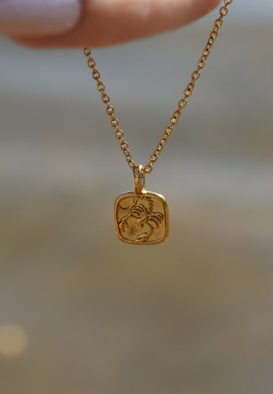 Zodiac Sign Necklace image 0