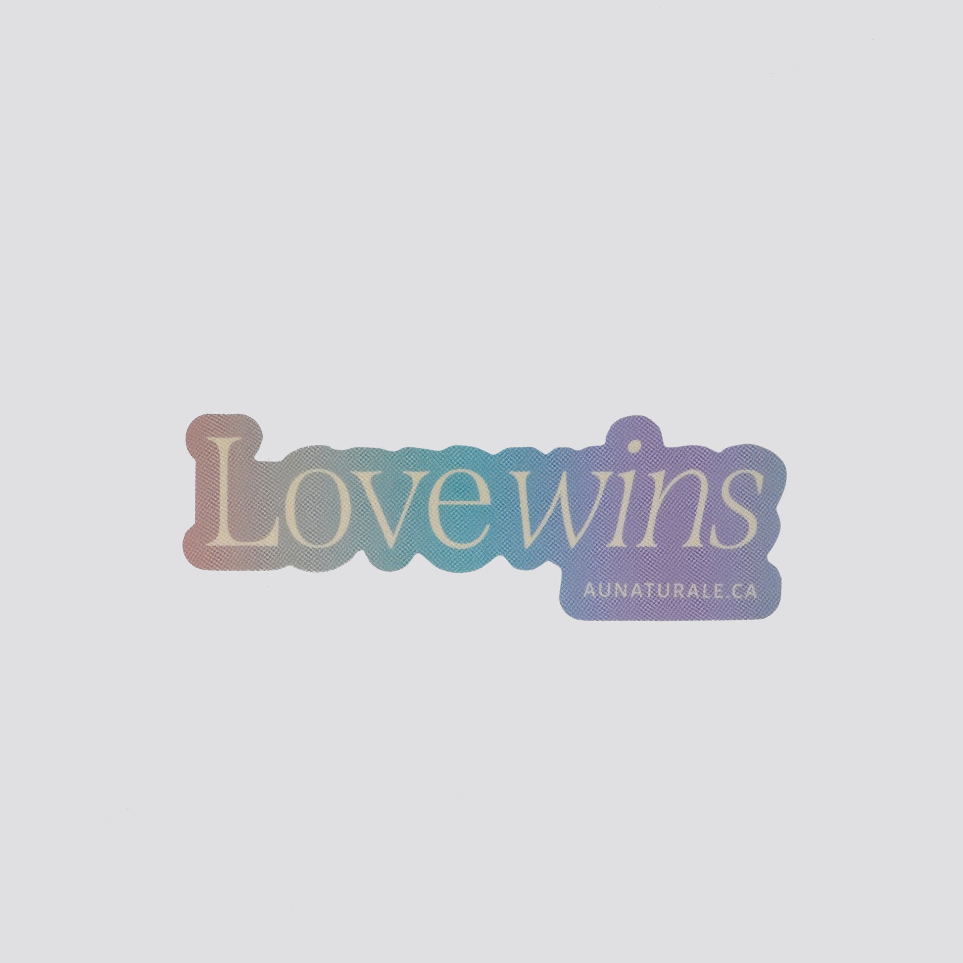 Love Wins Sticker image 0