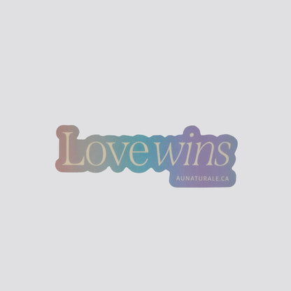 Love Wins Sticker image 0