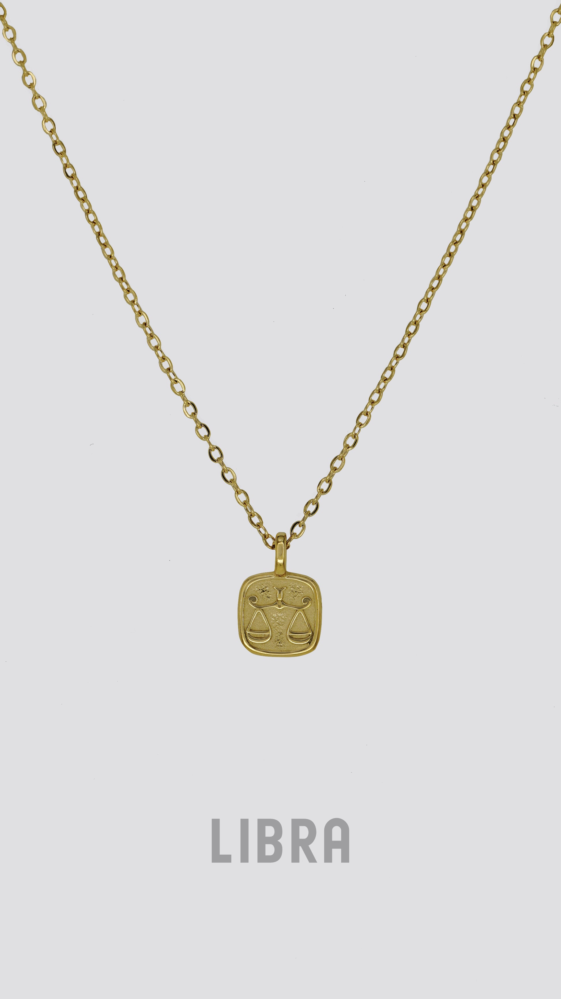 Zodiac Sign Necklace image 12