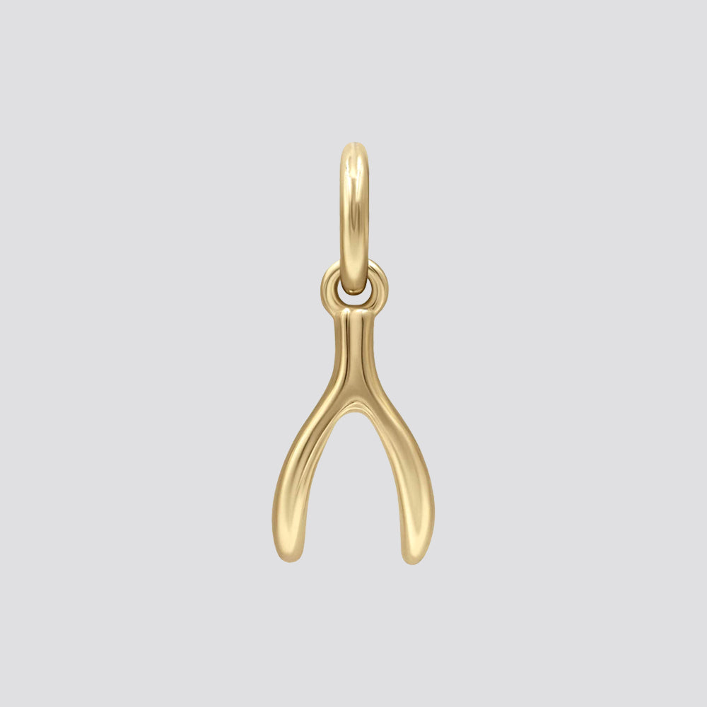Wishbone Earring Charm image 0