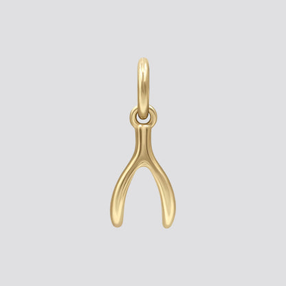 Wishbone Earring Charm image 0