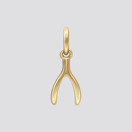 Wishbone Earring Charm image 0