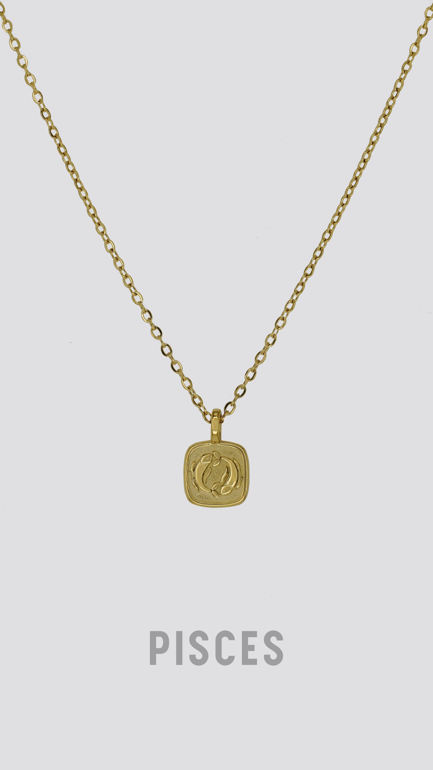 Zodiac Sign Necklace image 6