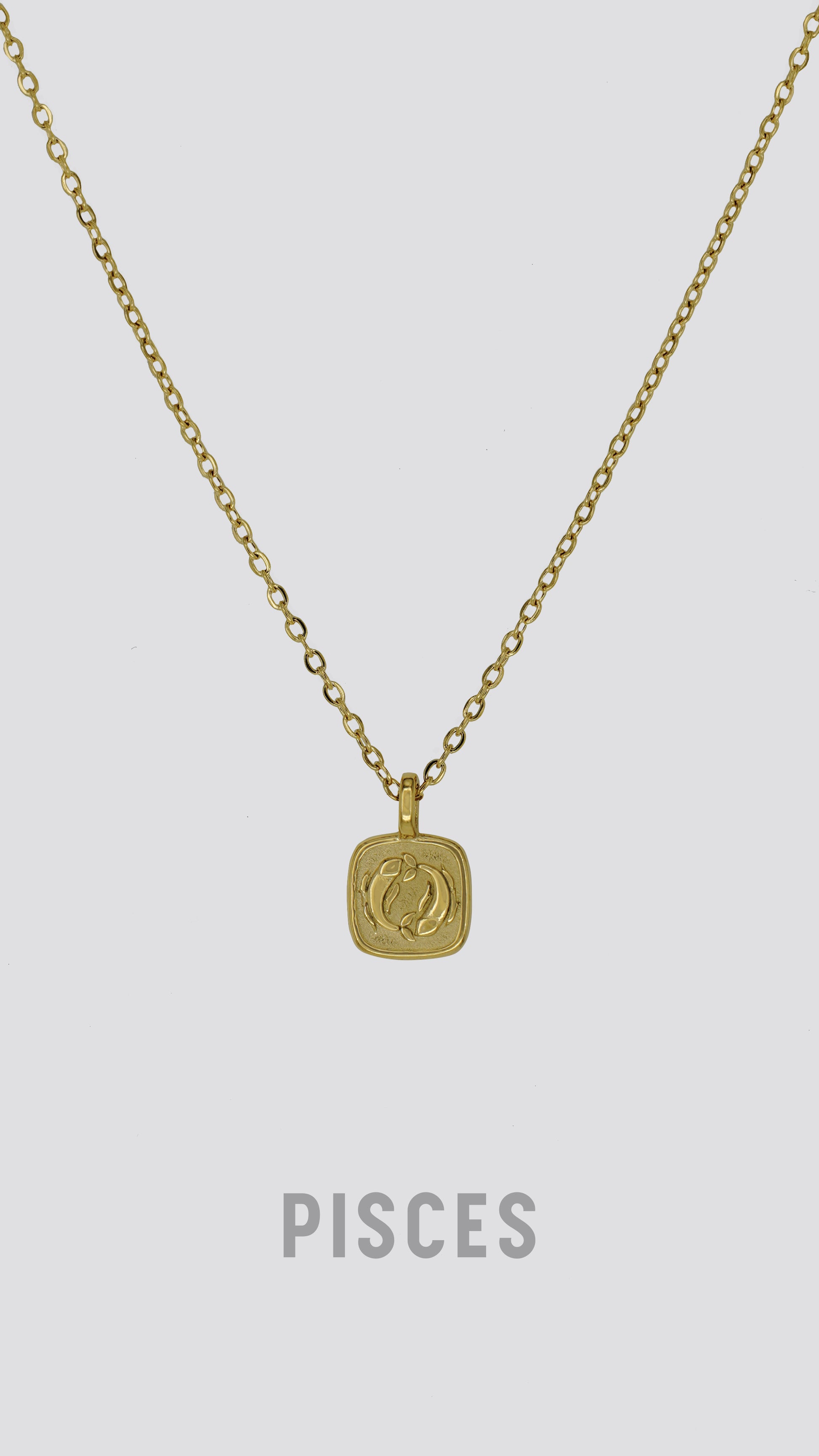 Zodiac Sign Necklace image 6