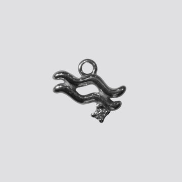 AQUARIUS charm