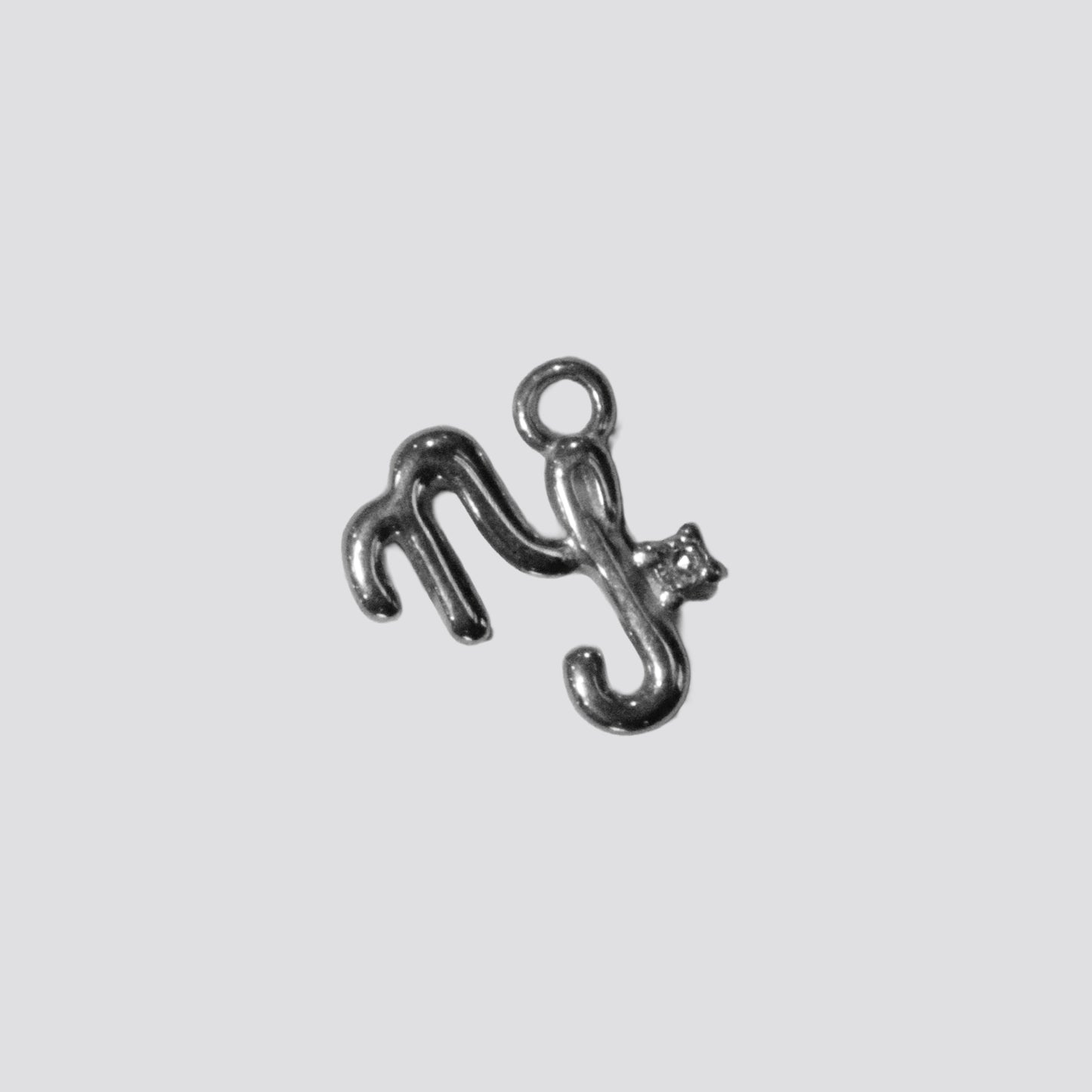 CAPRICORN - SILVER