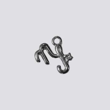 CAPRICORN charm