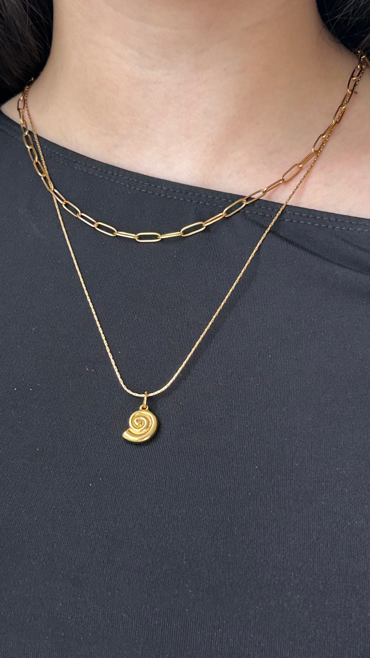 The Ammonite Necklace