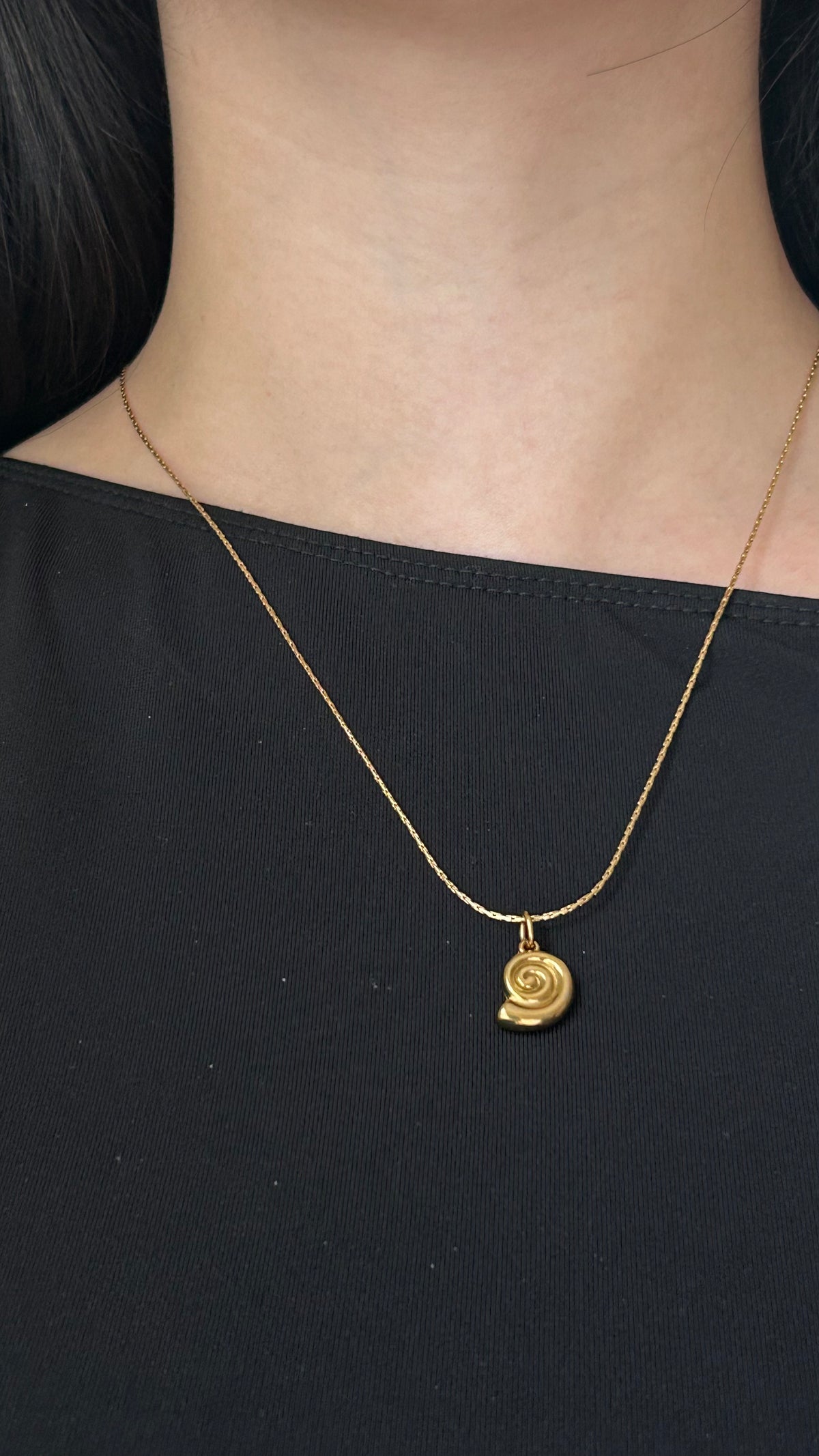 The Ammonite Necklace