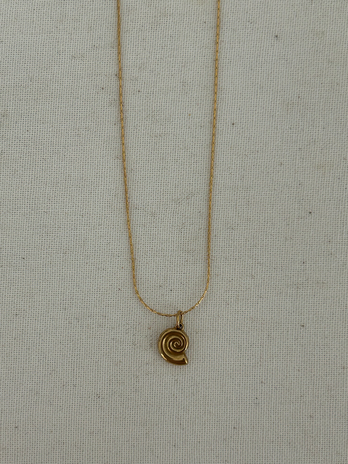 The Ammonite Necklace