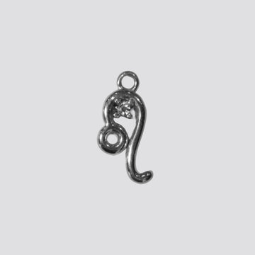 LEO charm