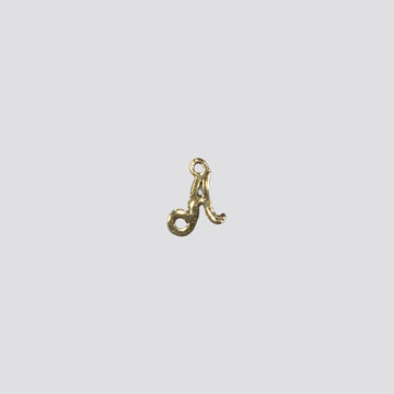 SMALL A charm