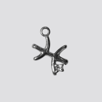 PISCES charm
