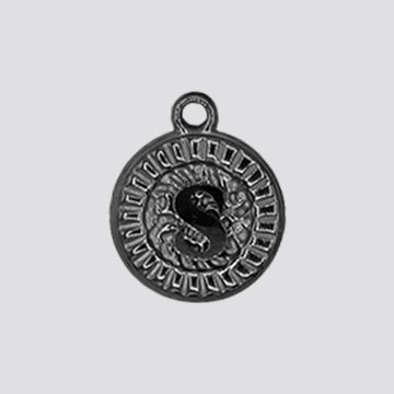S charm
