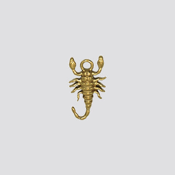 SCORPION charm
