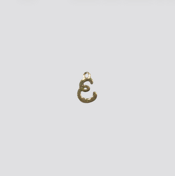SMALL E charm