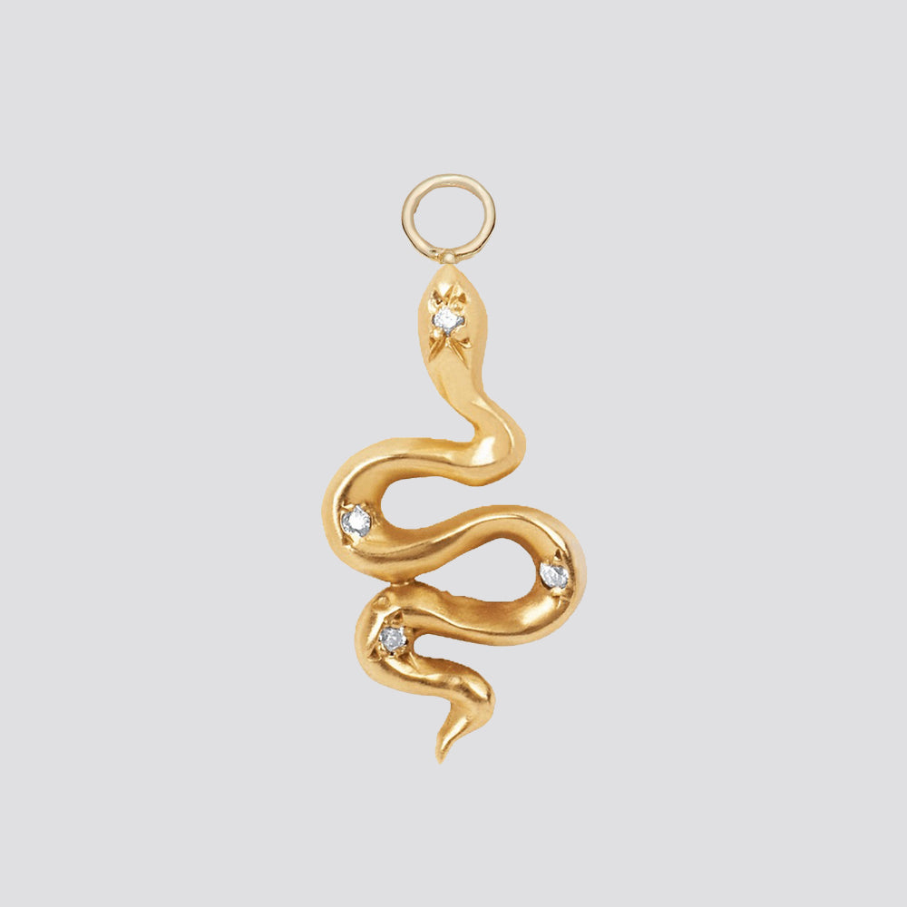 Sagacity Serpent Earring Charm image 0