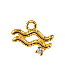 Aquarius charm