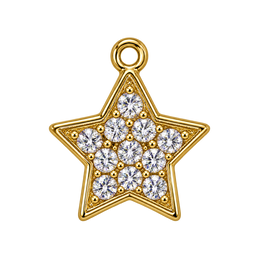 Gem star charm