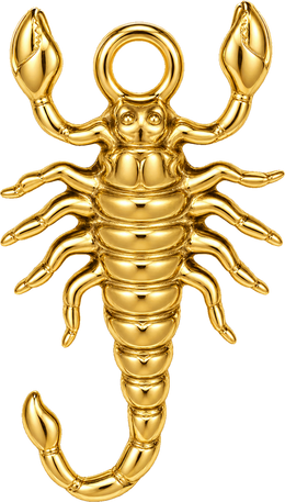 Scorpion charm