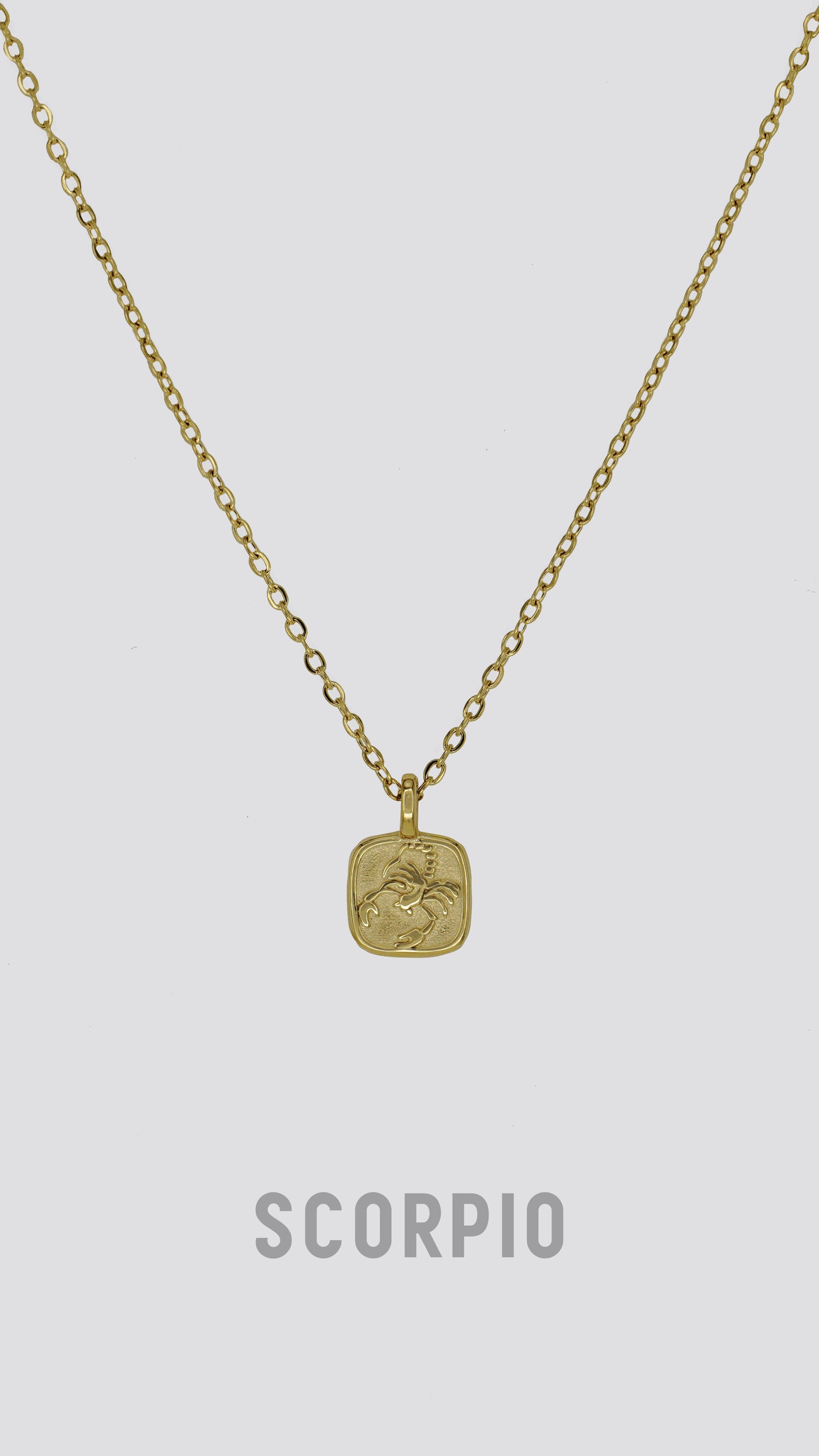Zodiac Sign Necklace image 3
