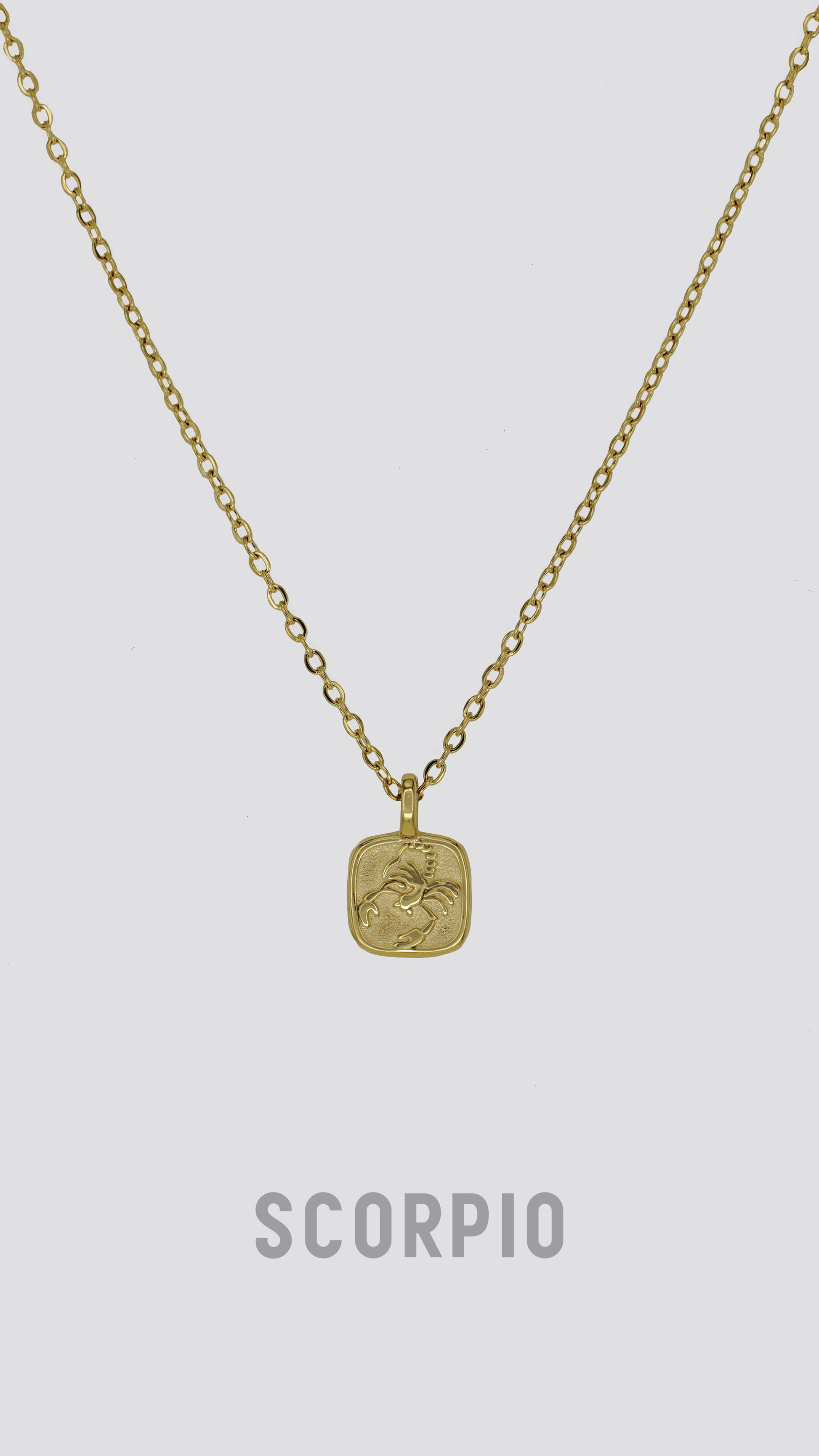 Zodiac Sign Necklace image 3