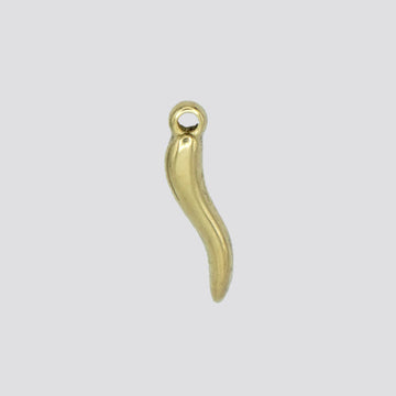 CHILI charm