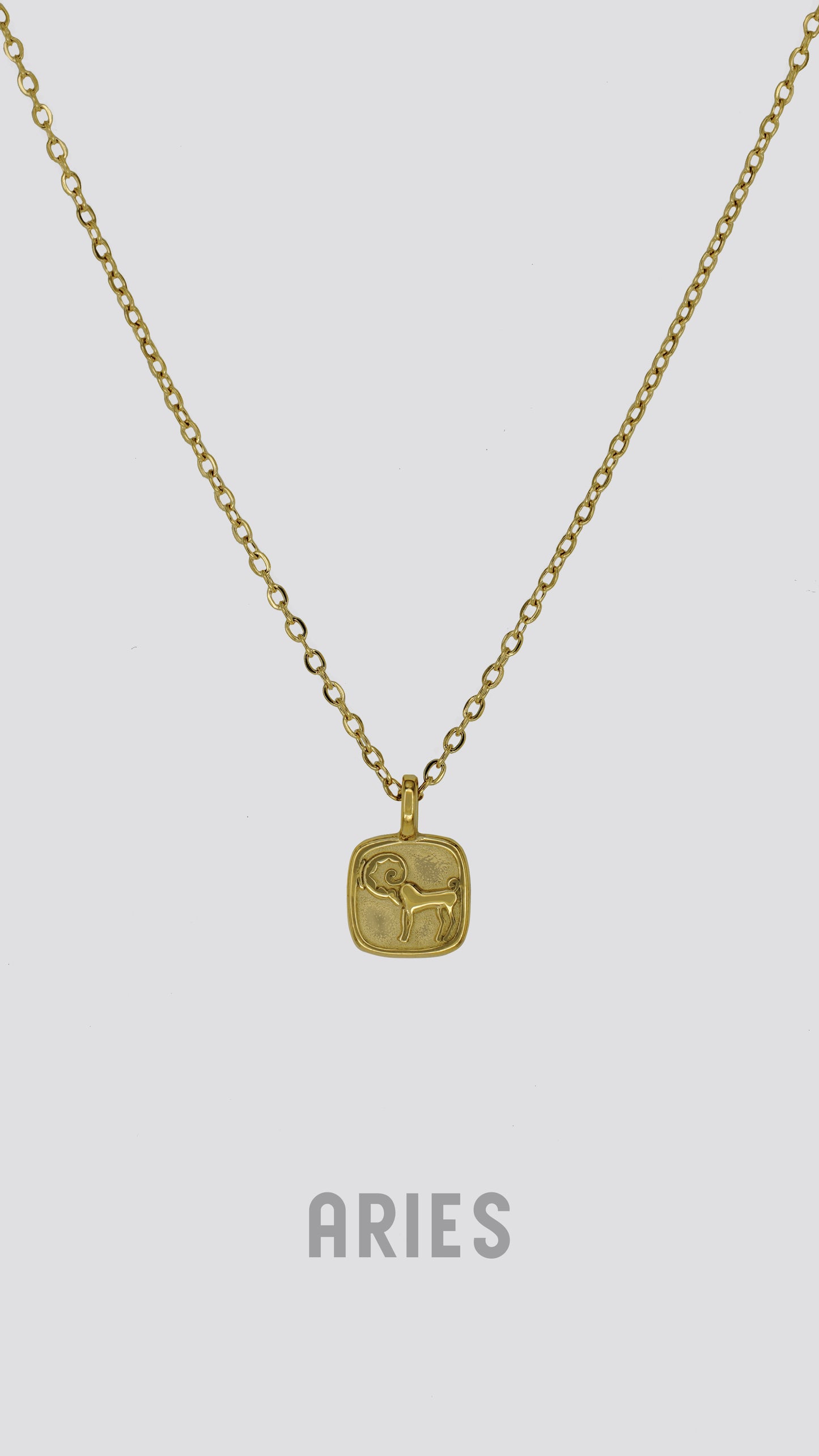 Zodiac Sign Necklace image 7