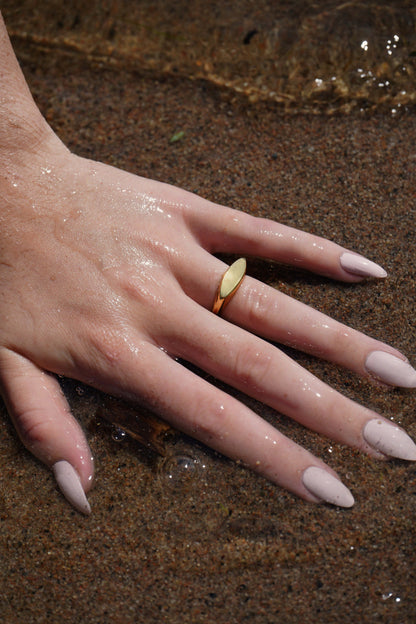 Views Signet Ring image 5