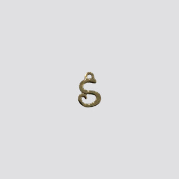 SMALL S charm