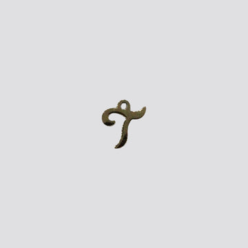 SMALL T charm