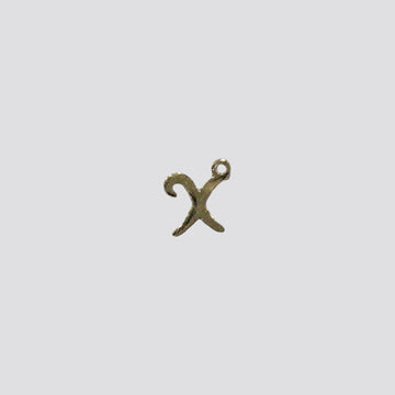 SMALL X charm