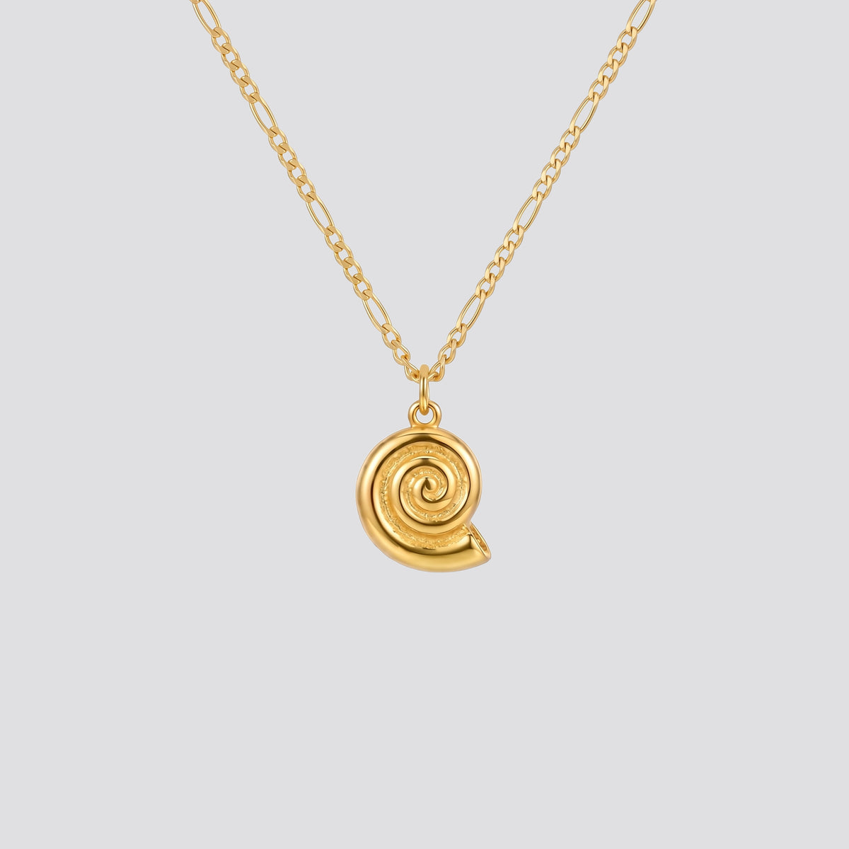 The Ammonite Necklace